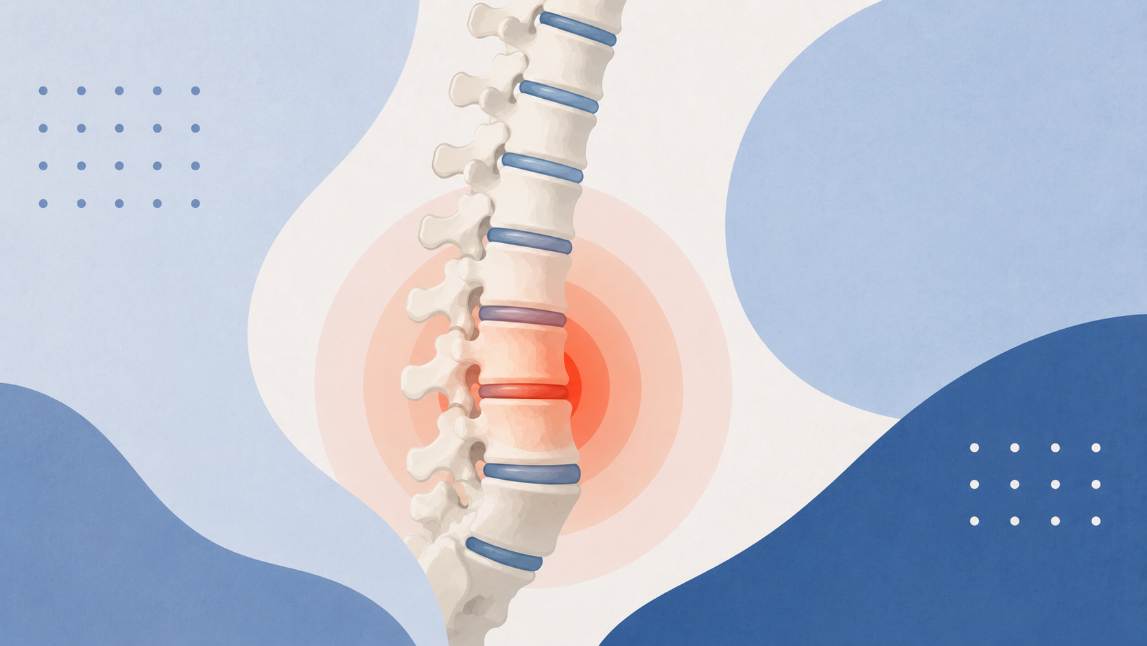 Spine